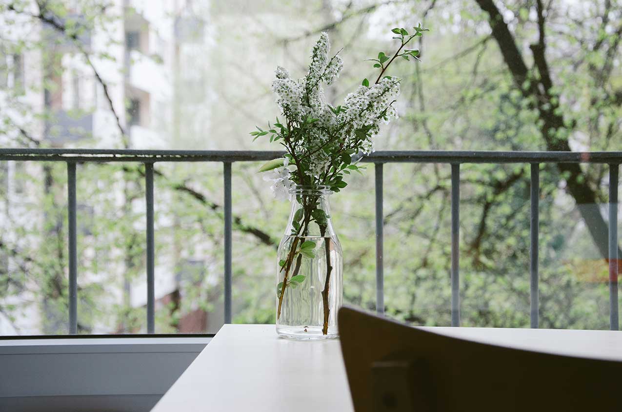 Interior stylist plants inside a home Interior stylist plants inside a home