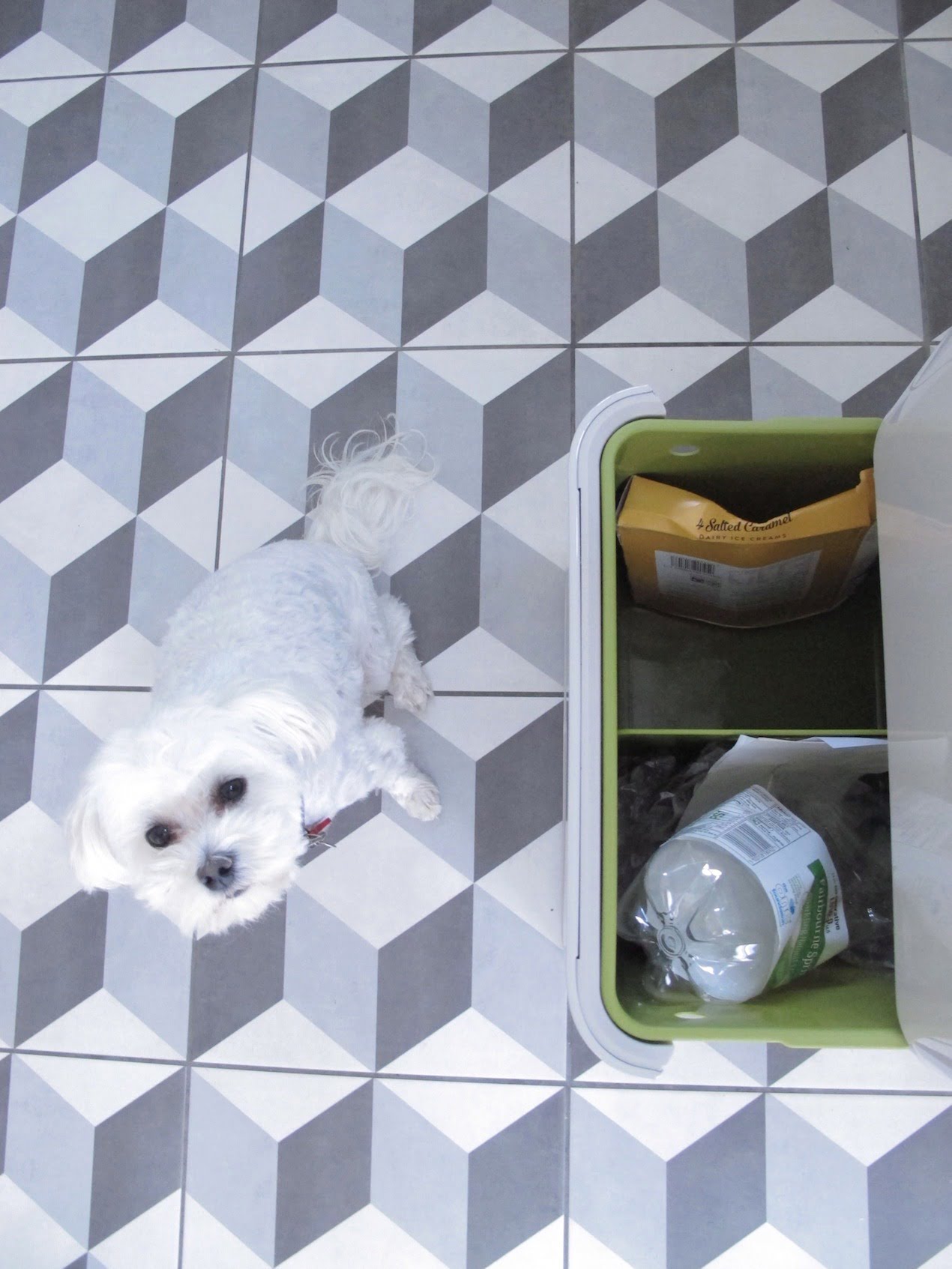 How to make your rubbish look good. Review of the Joseph Joseph Totem Bin