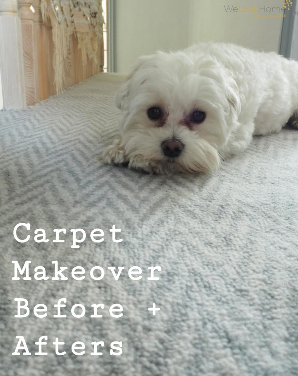 Why my new carpets make me smile for miles. Grey Carpet Makeover. By Interior Stylist, Maxine Brady from WeLoveHomeBlog