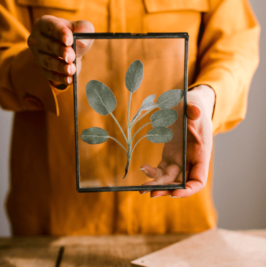 Discover ways to harness the power of herbs and how naturally beat the january blues with these inspiring ideas from interior stylist Maxine Brady