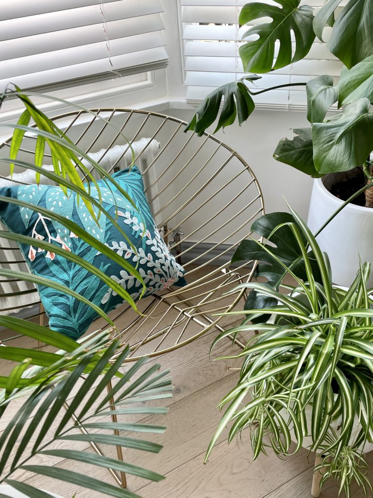 Nature is a great mood booster! And what better way to bring that feeling home than creating an indoor garden using the latest Spring Summer trend for 2021 Outside In.