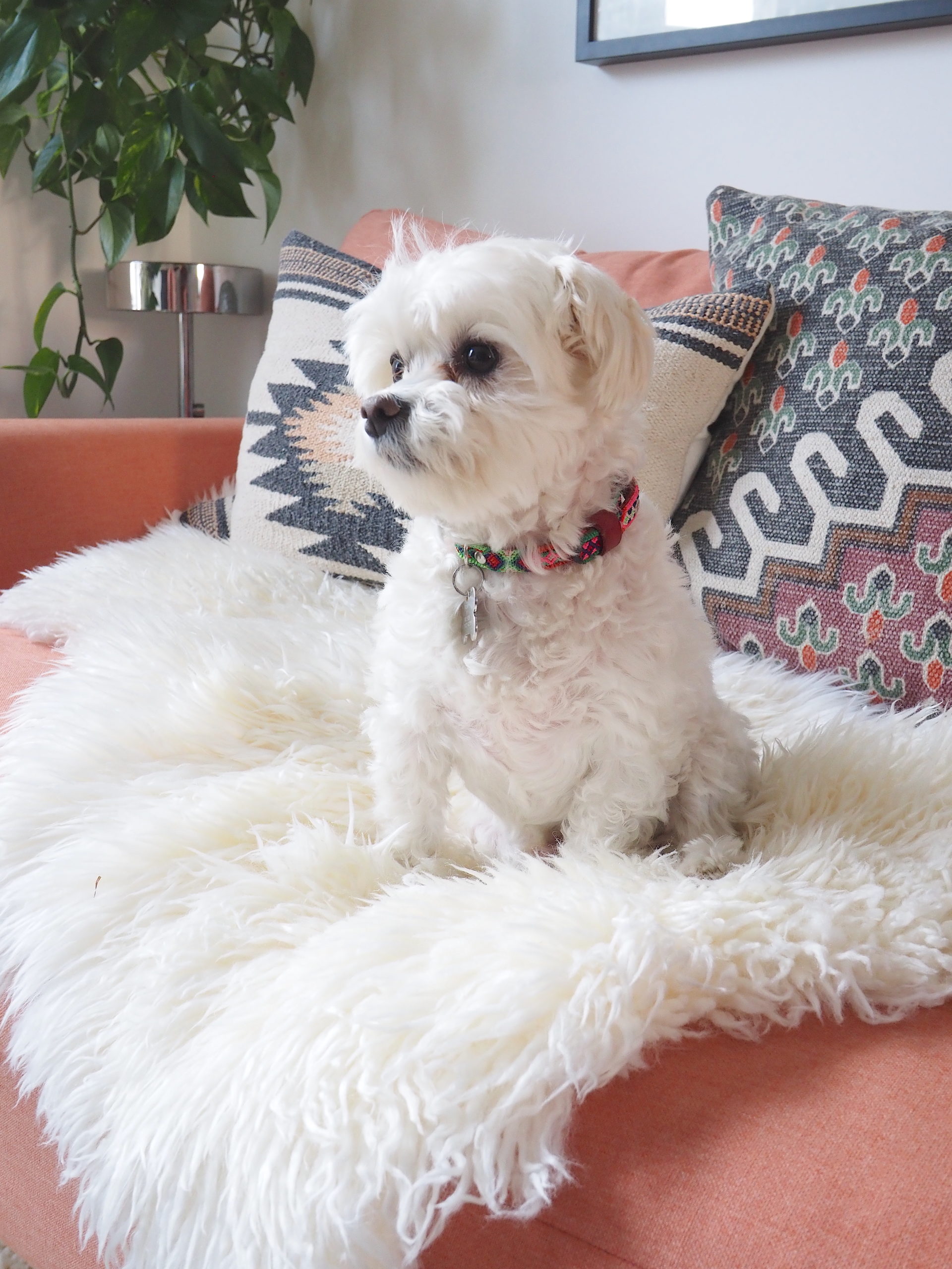 Up the cosy factor in your home with these 13 fresh sheepskin ideas.